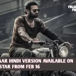 Hindi-Version-Set-to-Premiere-on-Hotstar-on-16th-February