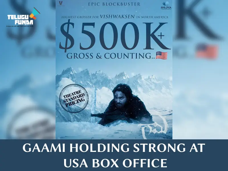 Gaami_ The Phenomenal Success Story Sweeping North America