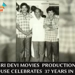 Sri Devi Movies Glorious Journey In TFI