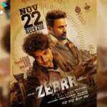 Zebra Film Release, Upcoming Release, Upcoming Movie, New Movie Release 2024, Film Release Update