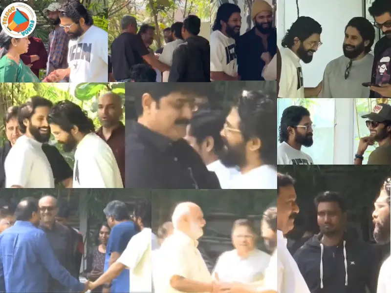 Allu Arjun's Jail Release: Fans Celebrate, Celebs Show Support, Family Reunites (Videos)